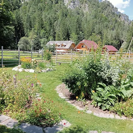 Alpi Giulie Chalets Valbruna