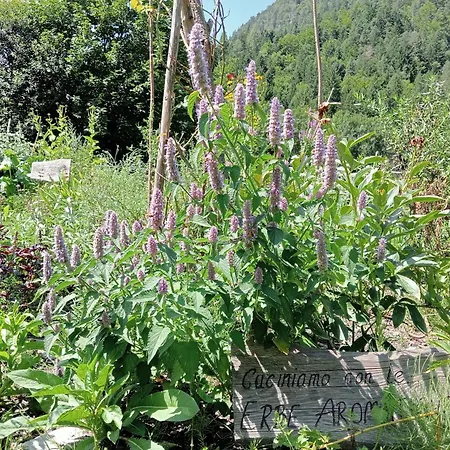 Alpi Giulie Chalets * Valbruna