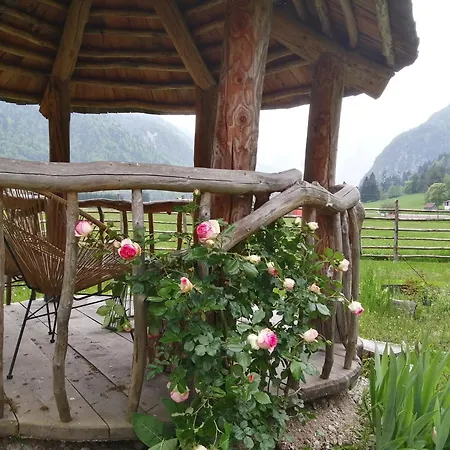 Alpi Giulie Chalets Holiday park Valbruna