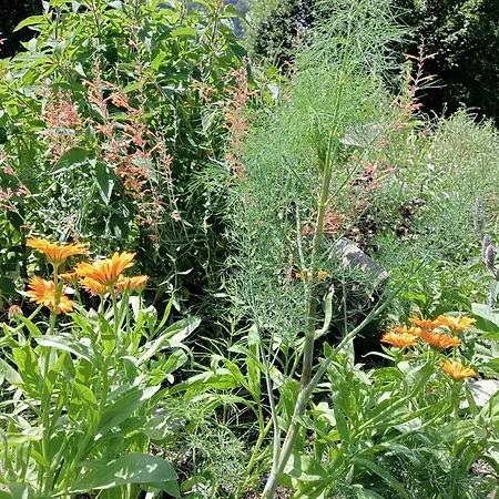 Ferienpark Alpi Giulie Valbruna